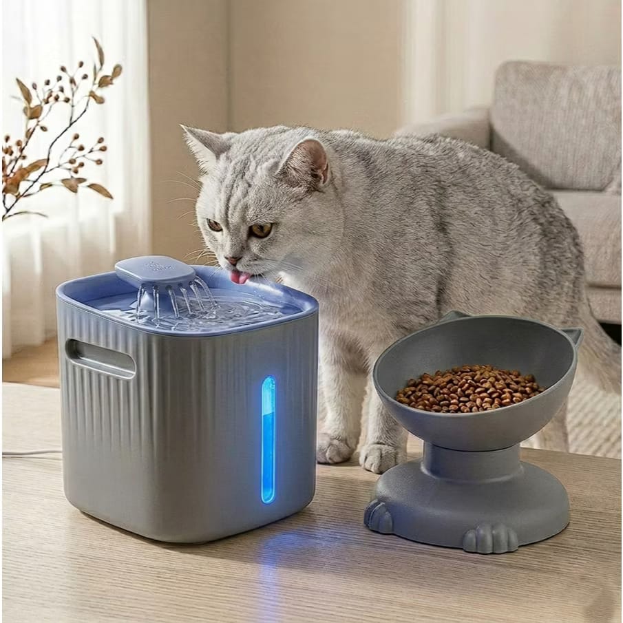 Fonte Silenciosa com Filtro e Comedouro Acoplado para Gatos 